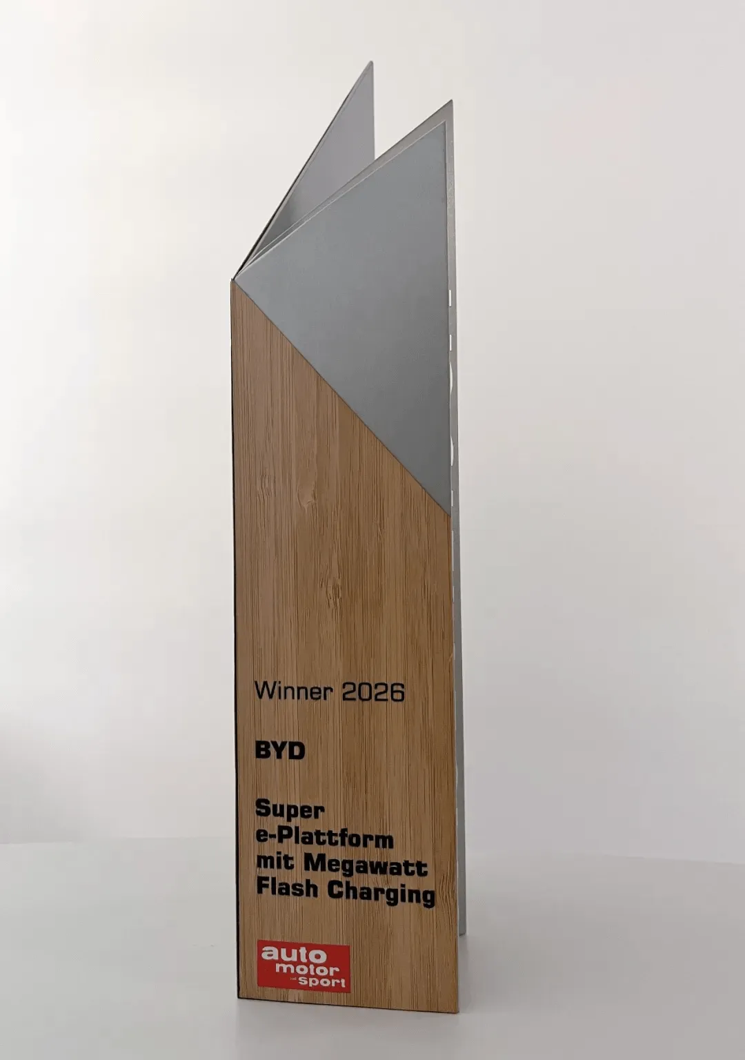 BYD obtuvo el premio Paul Pietsch por la carga rápida. Fue el primer caso de este tipo para China.