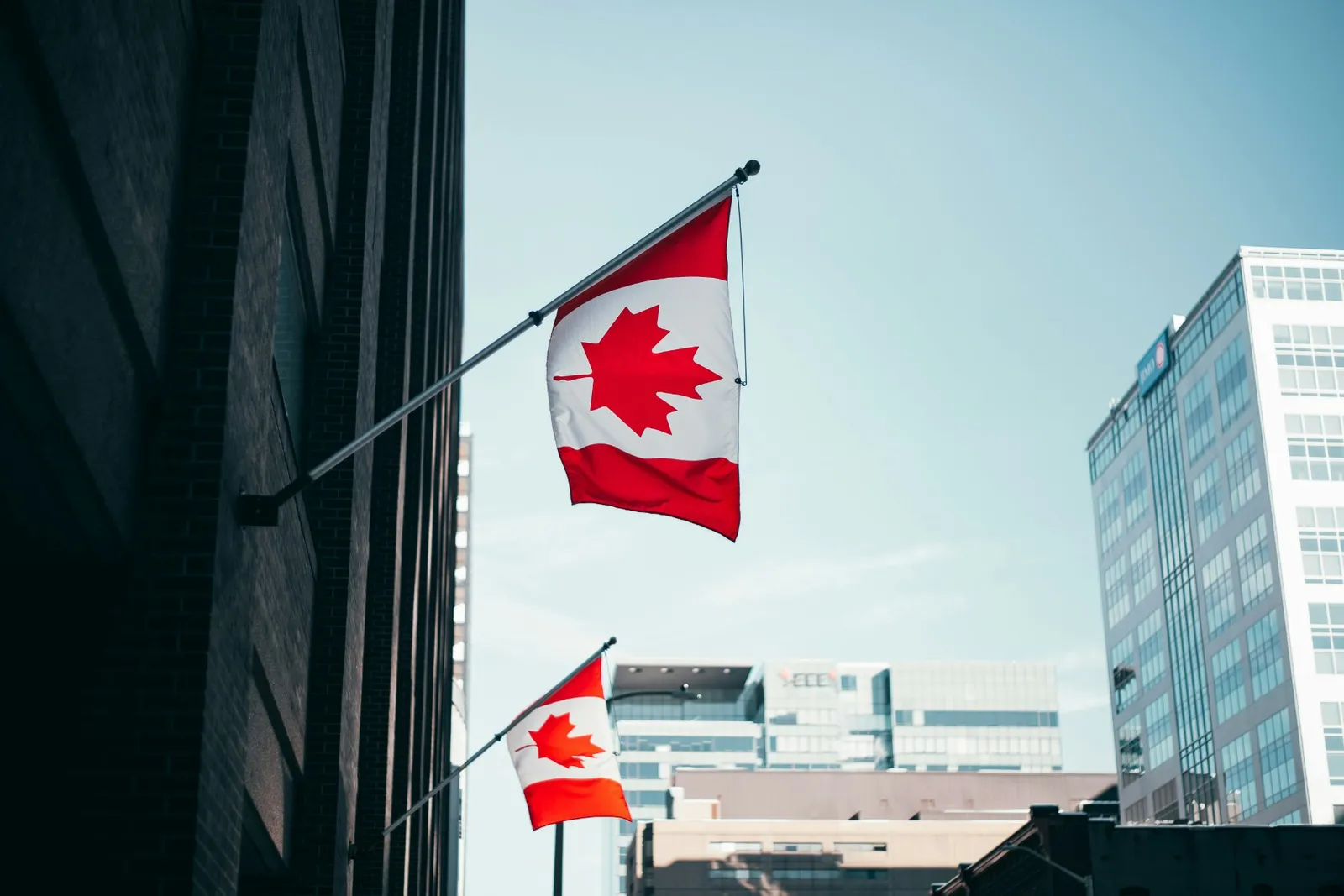New Brunswick investe 6 milhões de dólares canadenses em infraestrutura de carregamento para veículos elétricos.