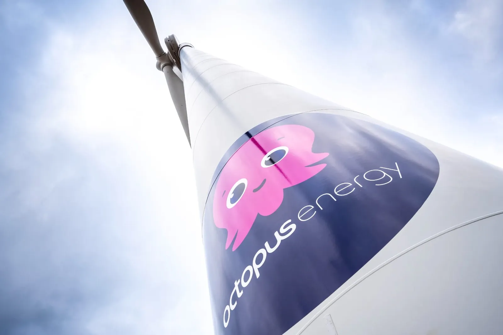 Octopus Energy bietet Wallbox samt Stromtarif