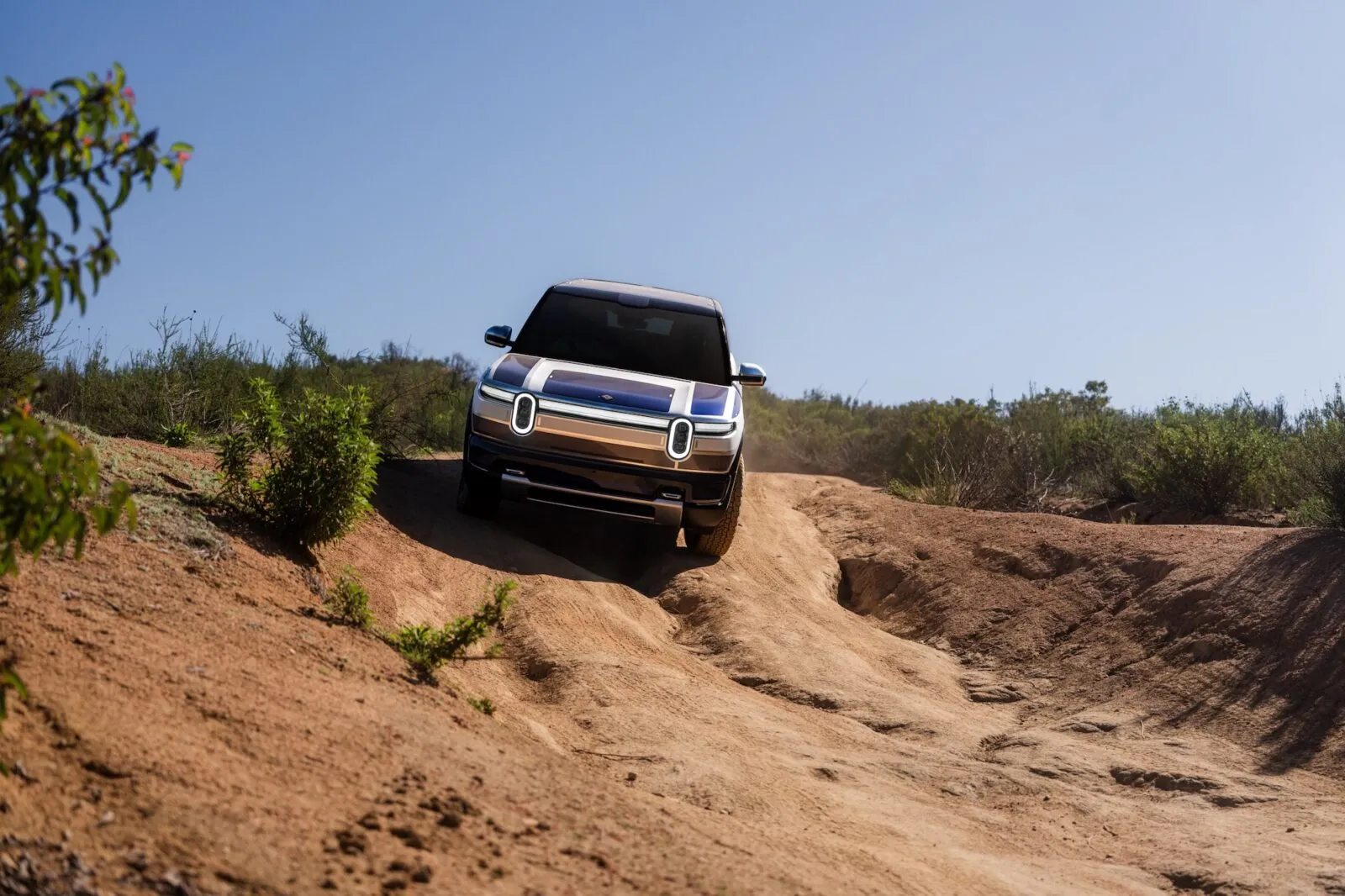 Rivian Posts Positive News, Stock Price Drops
