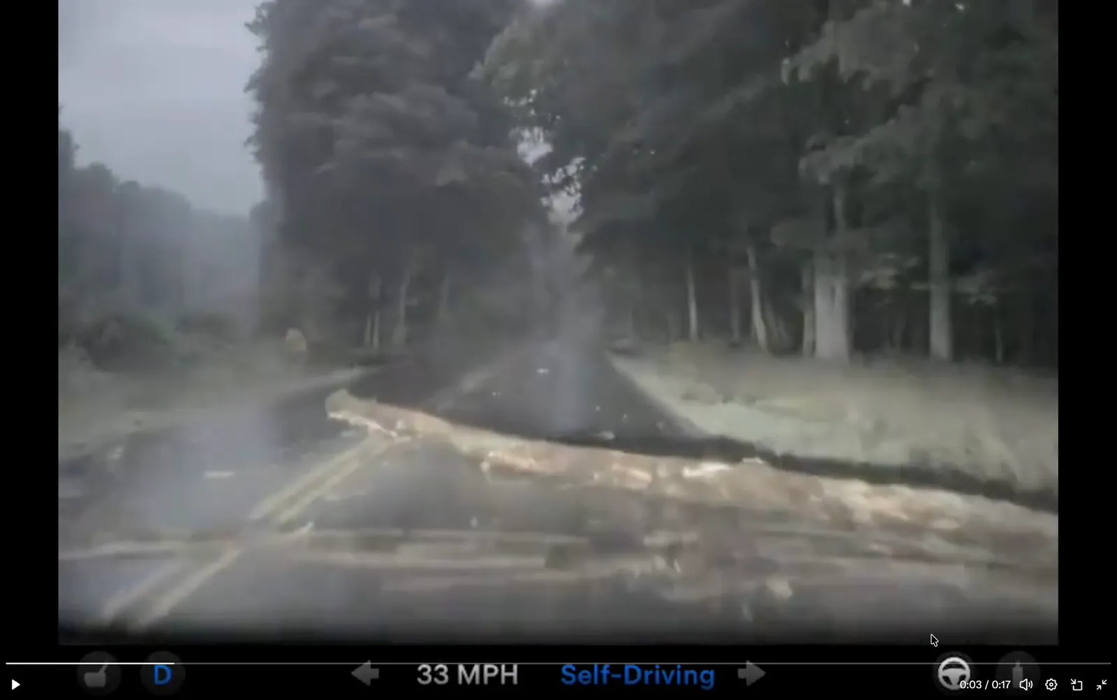 Tesla FSD v14.1 Lite przejechała po kłodzie przy 51 km/h. HW3 dalej pokazuje swoje limity