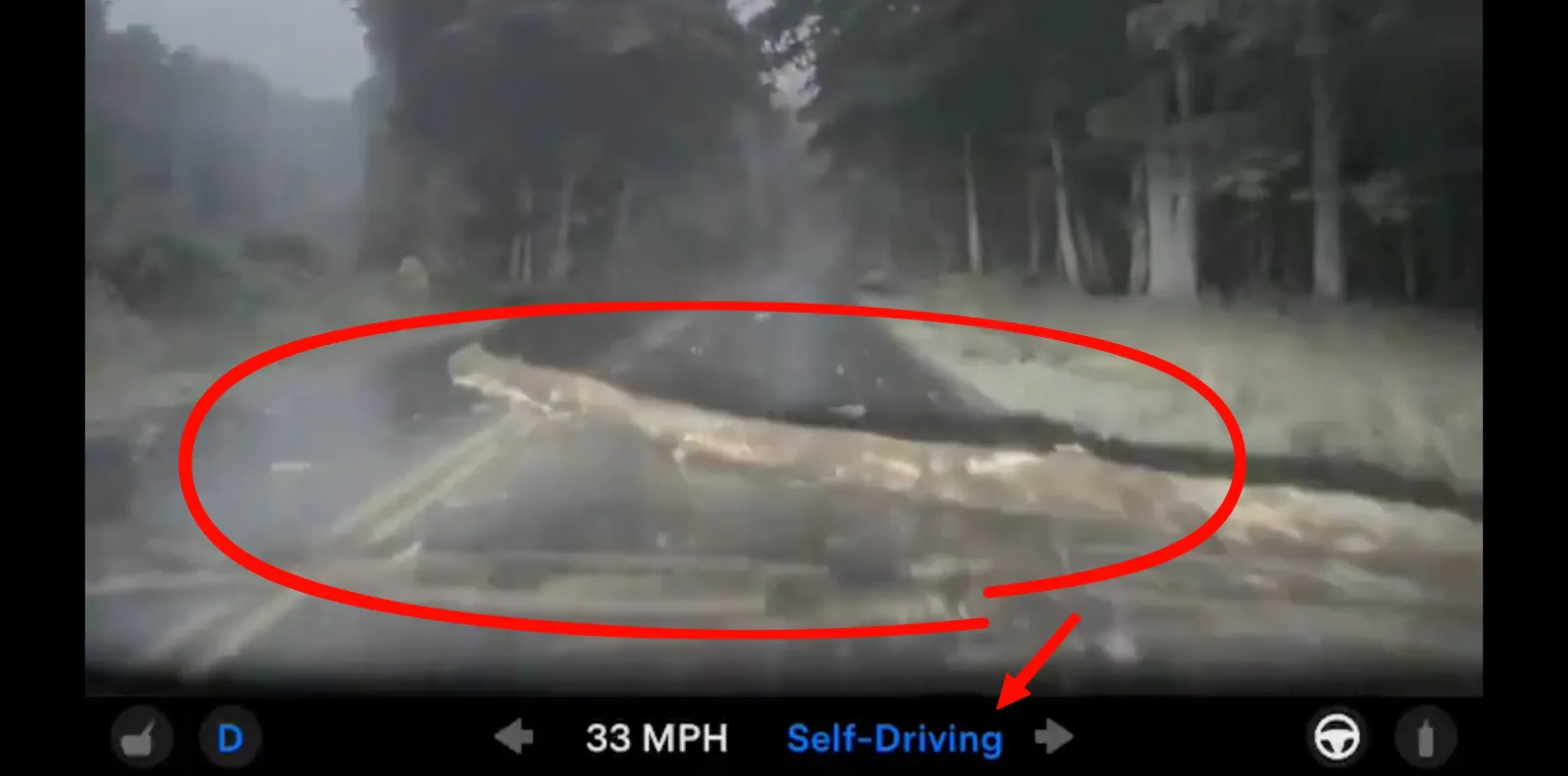 Tesla FSD V14 lite drive into tree