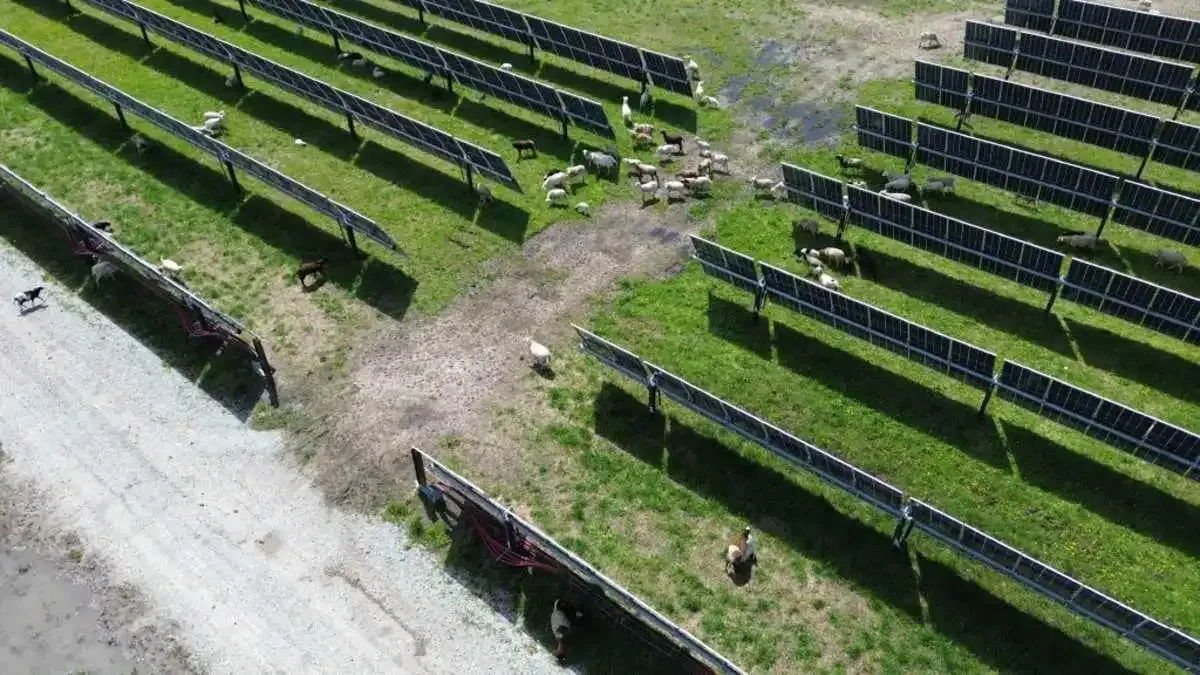 Do wind and solar farms tank home values? A 20-year study has an answer