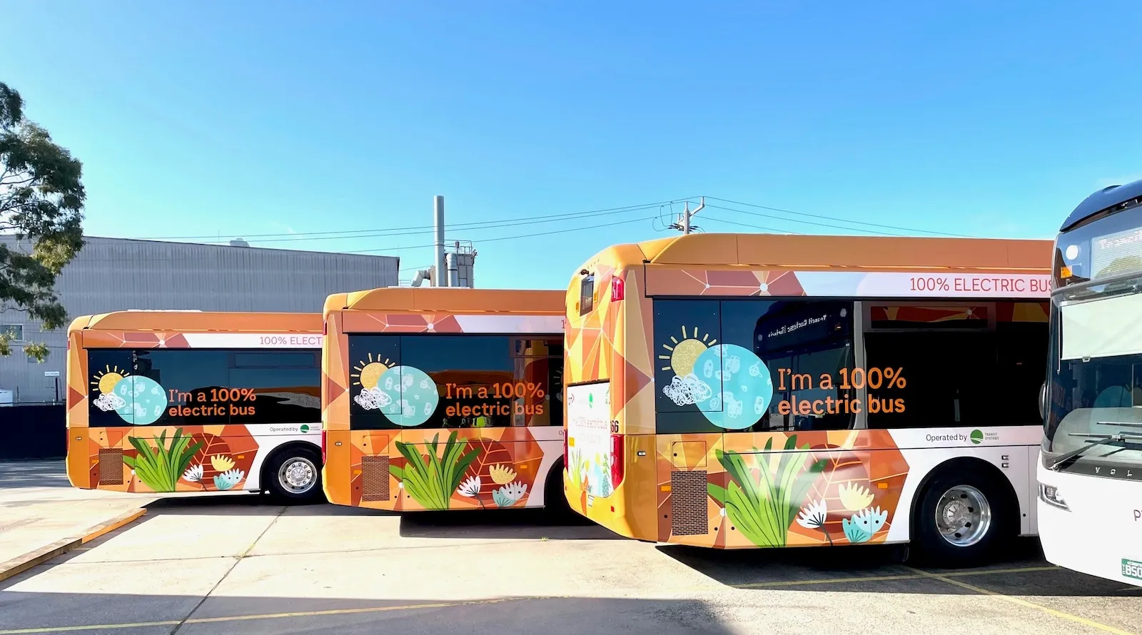 A LA Metro adquire 220 novos ônibus elétricos a bateria