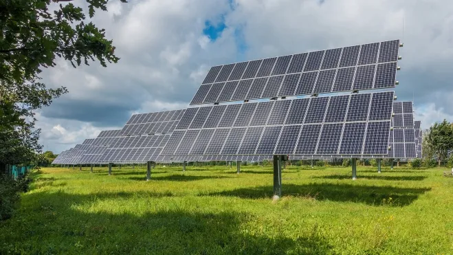 ovejas paneles solares beneficios mutuos 2